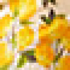 BTC A Playful Bouquet Jumpsuit Lemon Best