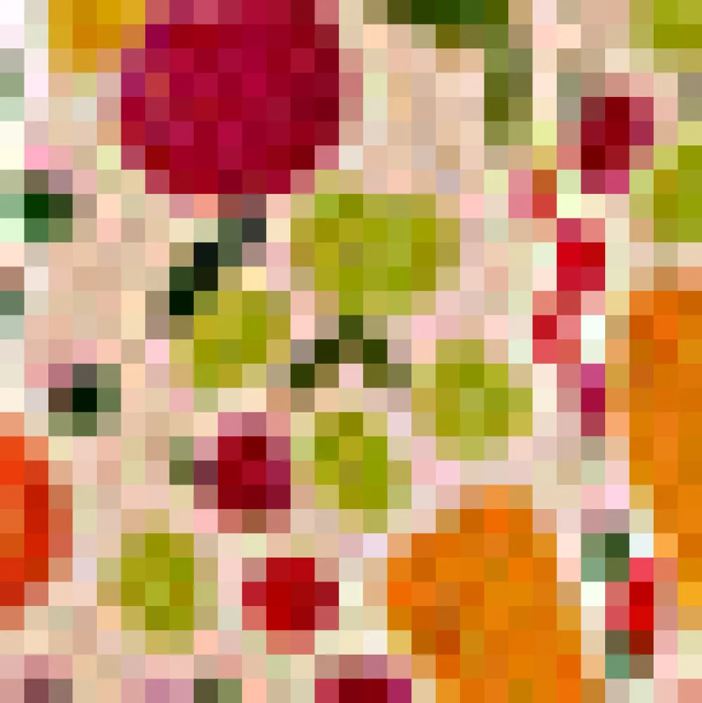 BTC Afternoon Delight Skirt Fruit Stand New