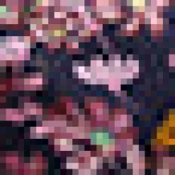 Belle of the Bow Blouse Winter Rosewood Hot