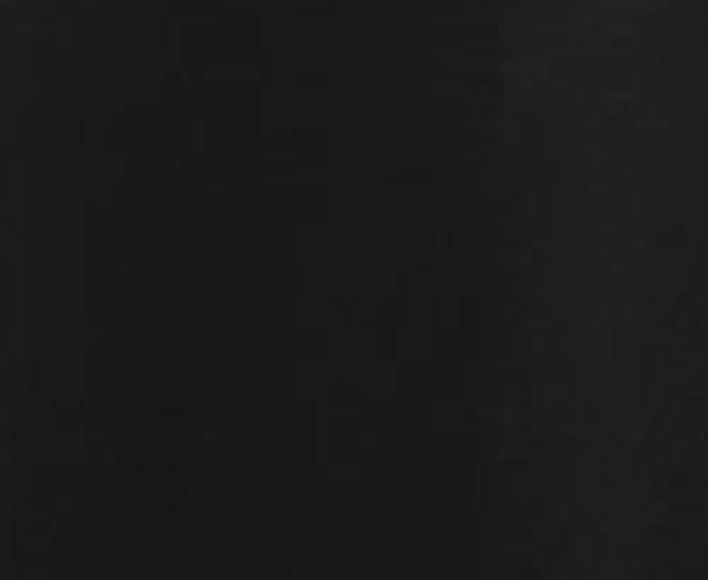 Embroidered Poodle Skirt Black Clearance