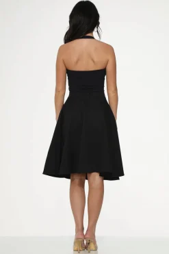 Hot Pink Embroidered Poodle Swing Skirt Black