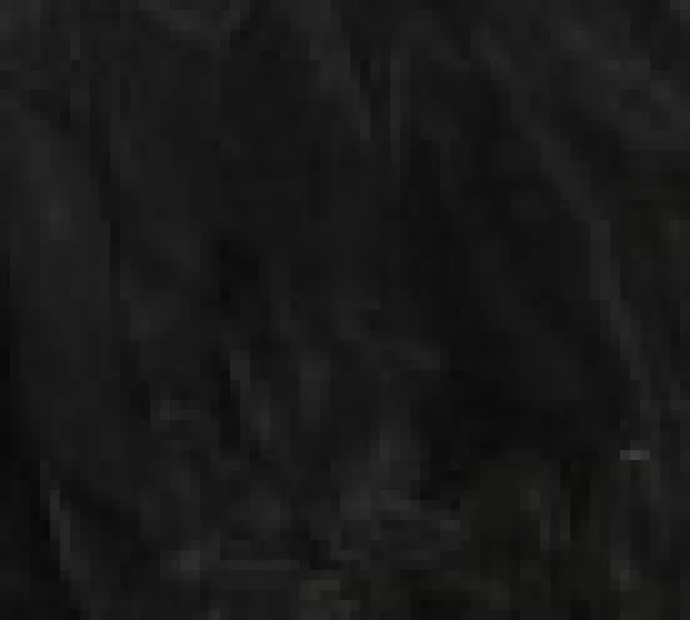 Petticoat Black Best