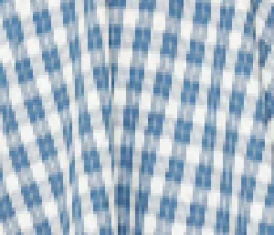 Blue Checker Swing Dress