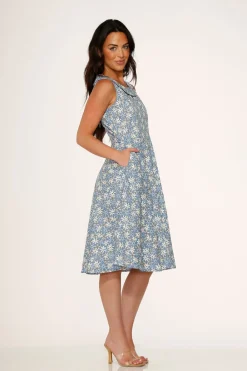 Blue Daisy Floral Swing Dress Hot