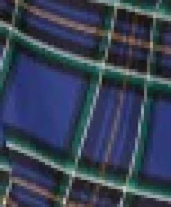 Blue Plaid Swing Dress