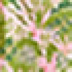 BTC Bold Notion Jumpsuit Green Tropics Best