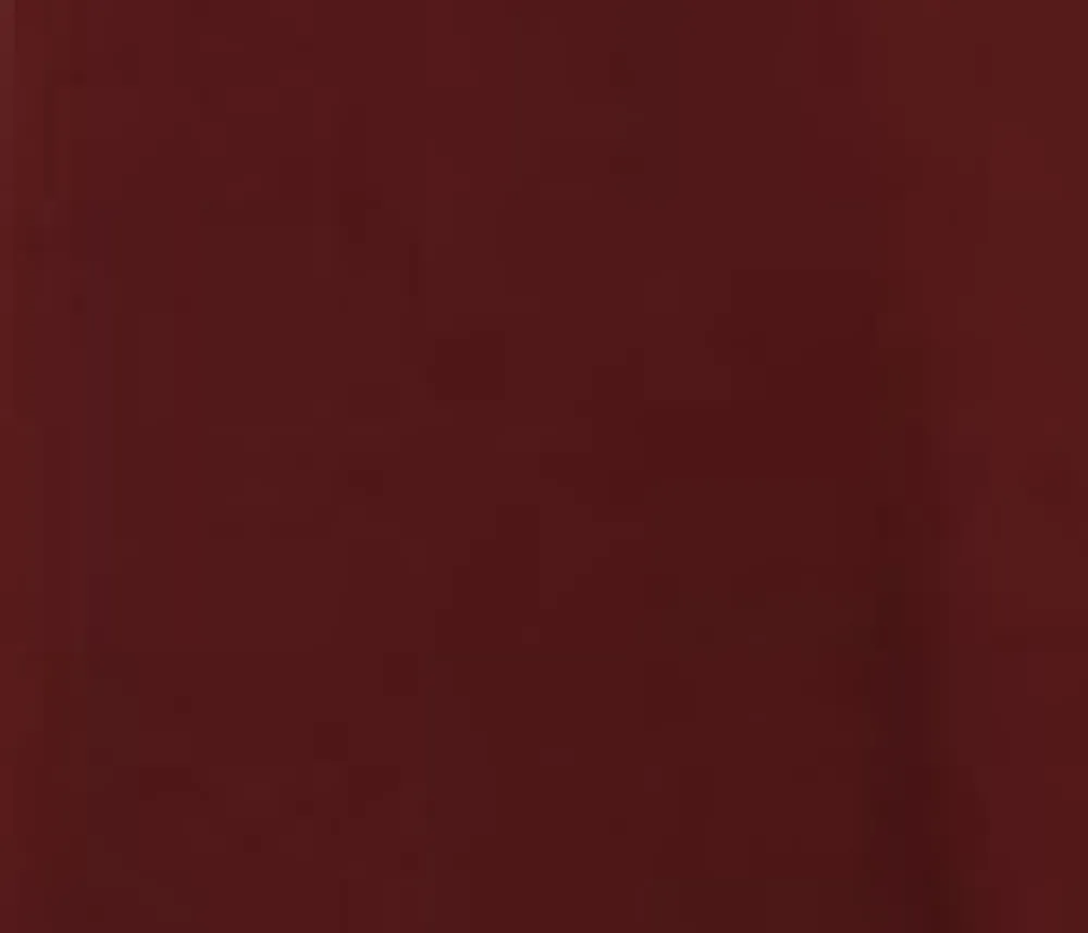 Burgundy Black Embroide Poodle Swing Skirt Red Sale