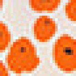 BTC Buttoned & Breezy Blouse Papaver Clearance