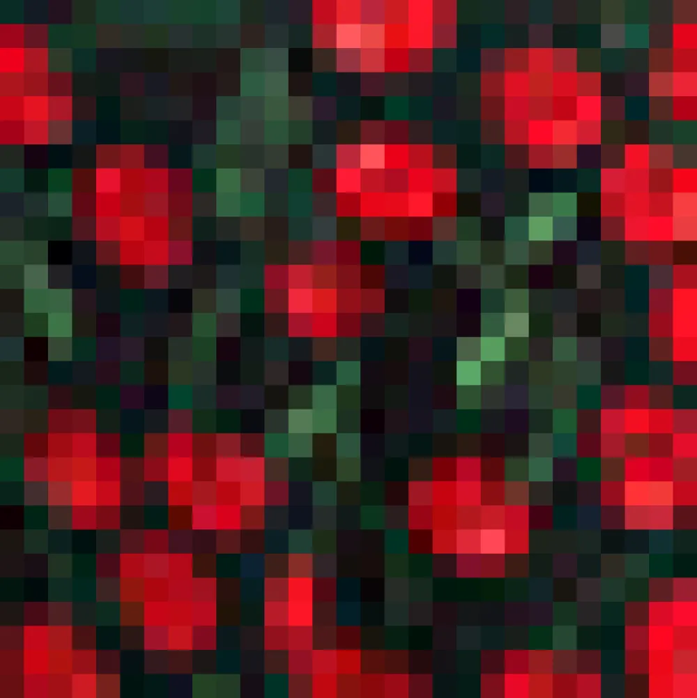 Cherry Picked Perfection Dress Black Cherry Outlet