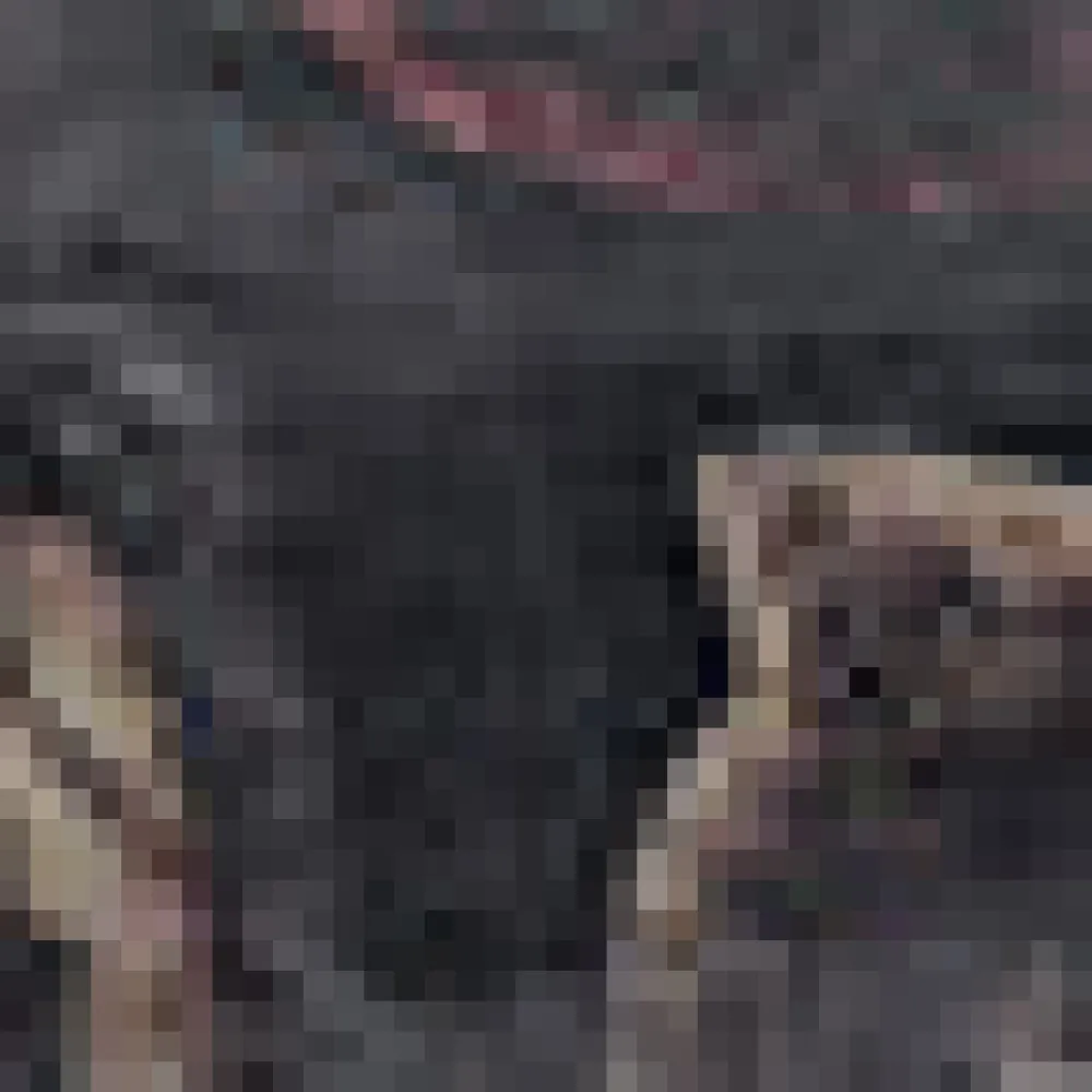 Black Friday Creepy Collections Mini Dress Black Outlet