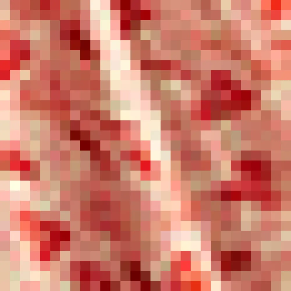 Dreamy Daze Everyday Dress Peach Kiss New