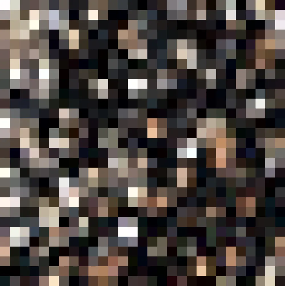 Dressed to Impress Sequin Sweatshirt Classic Noir Clearance