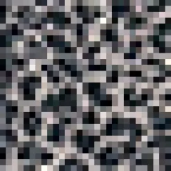 Excellence Attained Knit Midi Skirt Wild Cat Sale