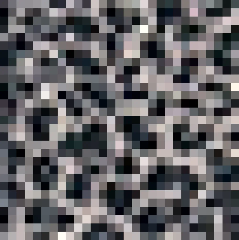 Excellence Attained Knit Midi Skirt Wild Cat Sale