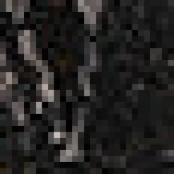 Festive Frolic Bubble Sleeve Crew Midnight New