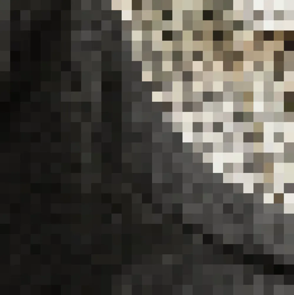 BTC Flow & Function Tie Neck Long Sleeve Top Gothic Gala Plaid Best