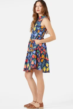 Fruit Bowl Shirt Dress Online