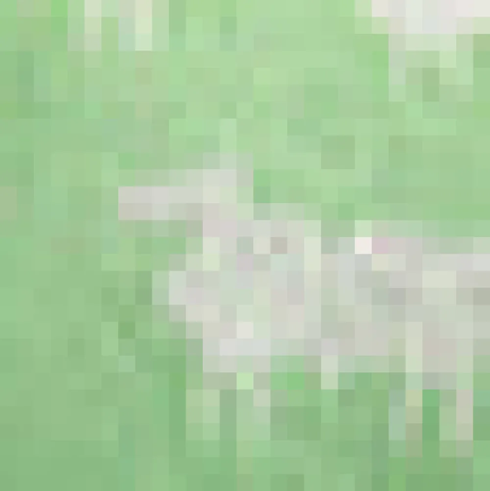 BTC Full of Nostalgia Crewneck Pullover Jade Dream