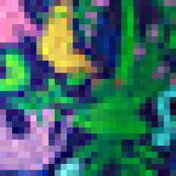 Funky Flare Jumpsuit Psychedelic Rainforest Clearance