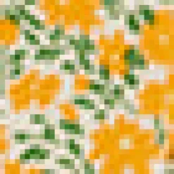 Garden Glamour Sleeveless Shift Dress Orange Blossom Outlet