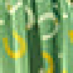 Golden Hour Glide Skirt Green Horseshoe Sale