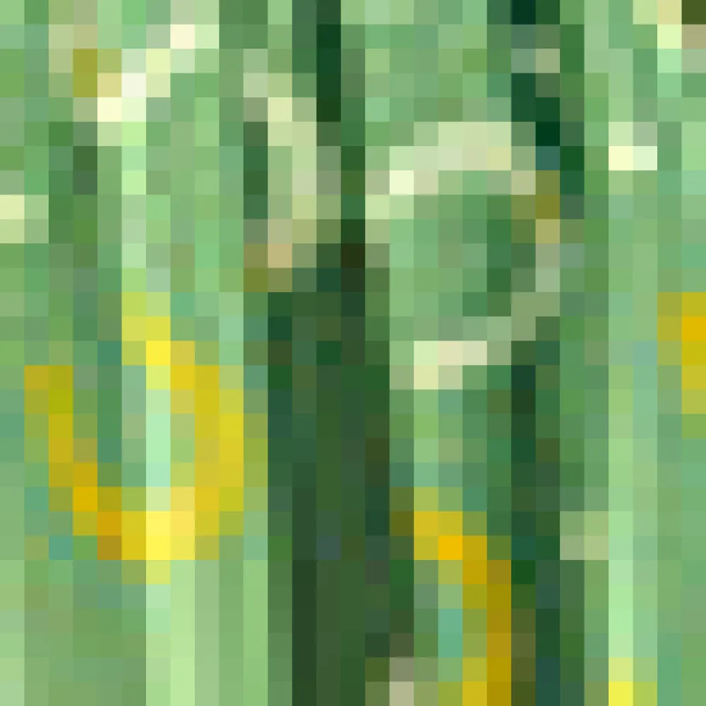 Golden Hour Glide Skirt Green Horseshoe Sale