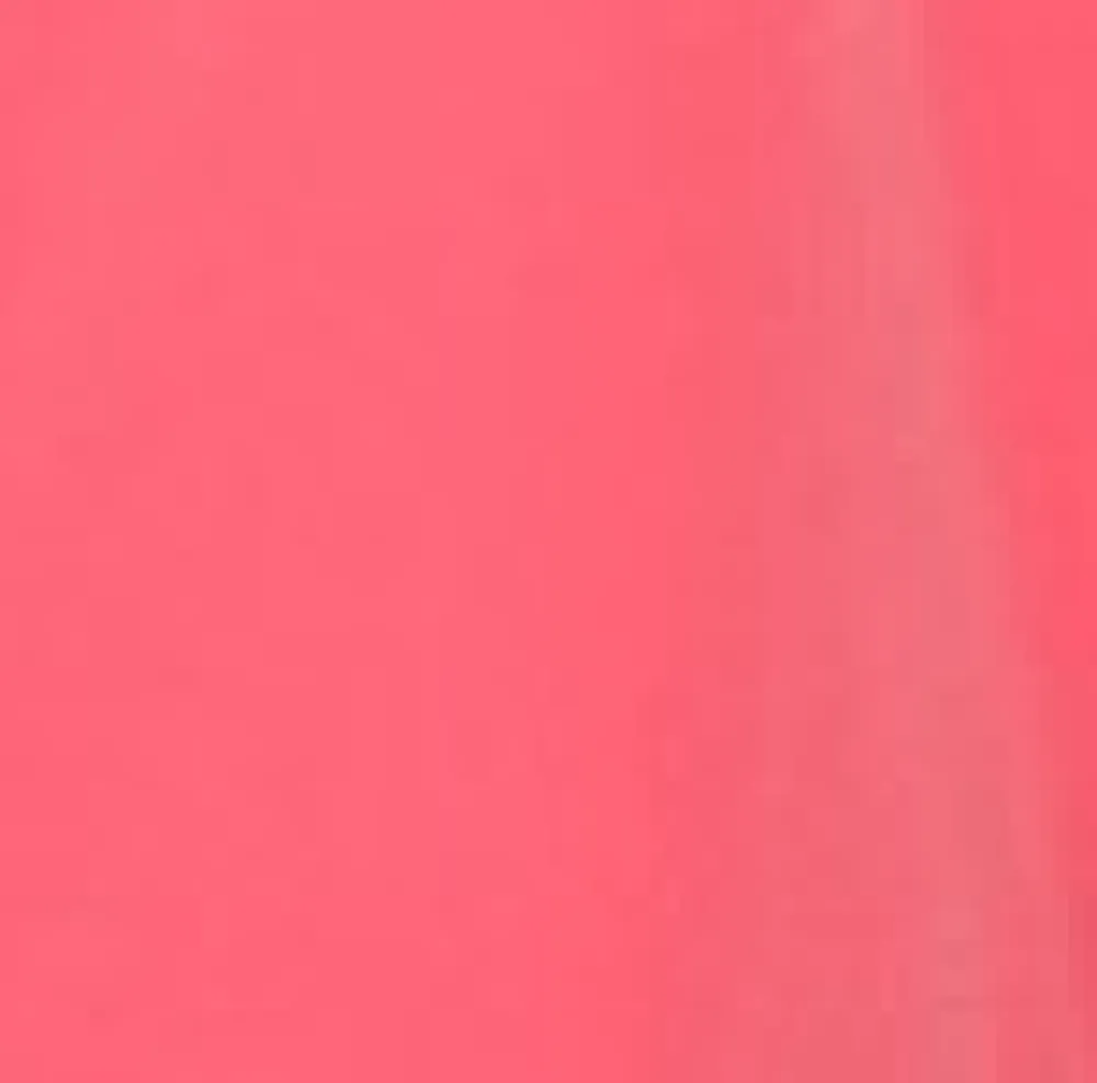 Hot with White Embroidered Poodle Top Pink Hot