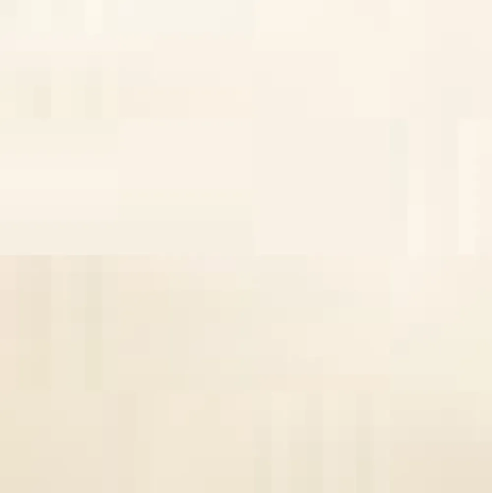 Lace Around the Edges Tee Ivory