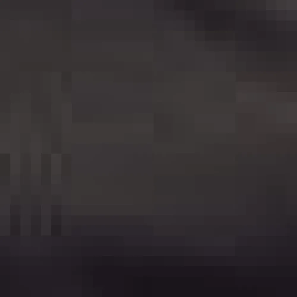 Lace by Day Marilyn Neck Tee Black Outlet