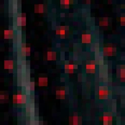 Memory Lane Fit & Flare Dress Midnight Muse Online