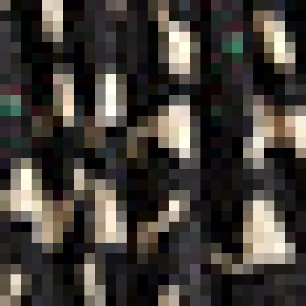 More Than Charming Skirt Midnight Whisker Best