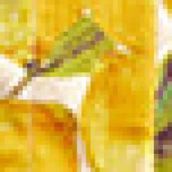 BTC Morning Melody Top Lemon Hot