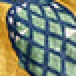 Morning Melody Top Pineapple Print Discount