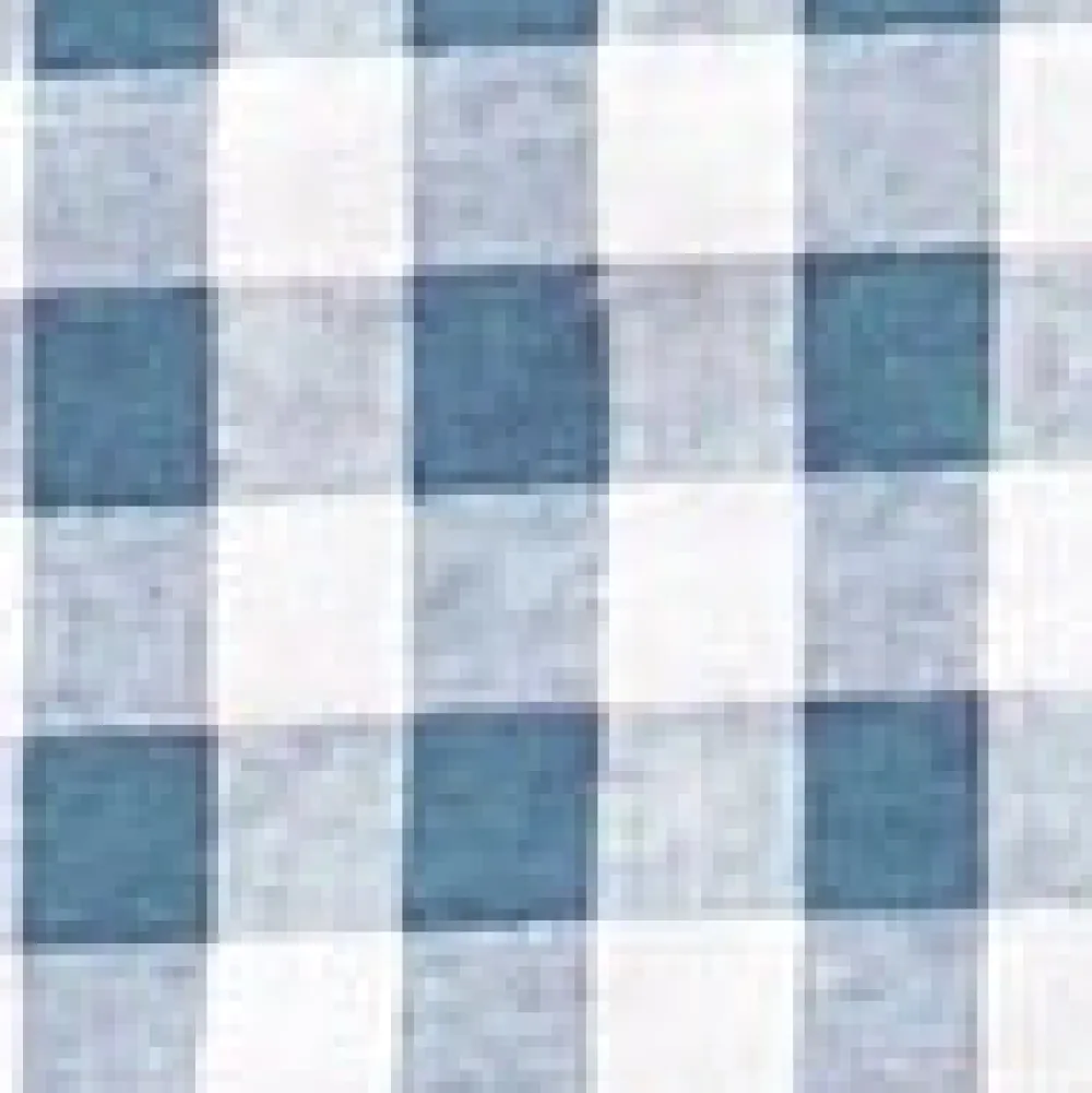 Morning Melody Top Blue Check Discount