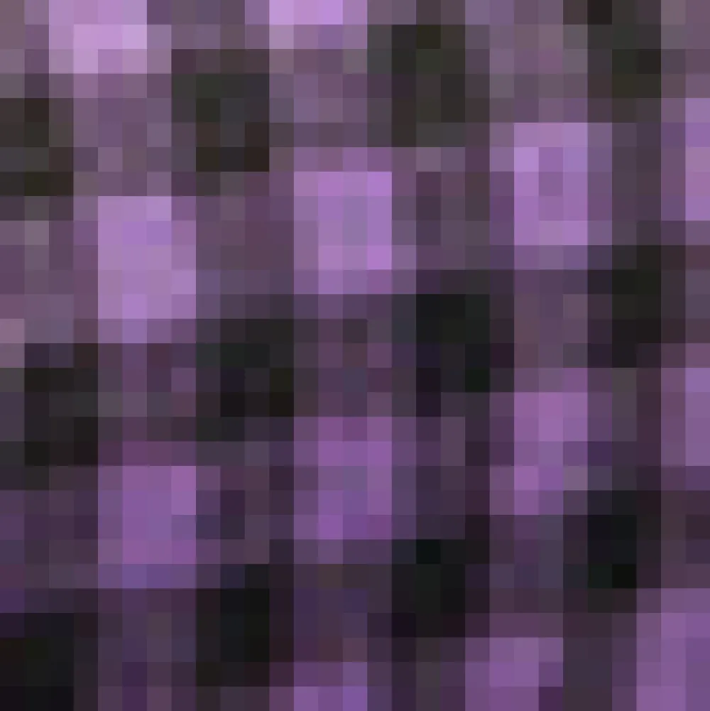 BTC November Nostalgia Flare Dress Charming Grape New