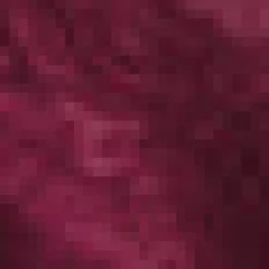 Past Perfections Boatneck Tunic Top Rich Raisin New