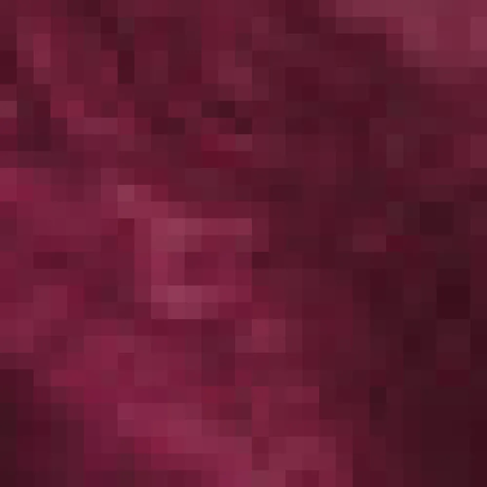 Past Perfections Boatneck Tunic Top Rich Raisin New