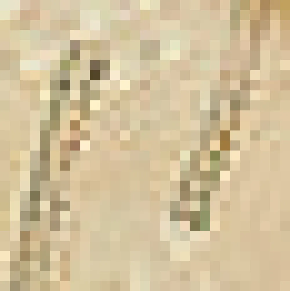 Picnic in the Park V-Neck Cardigan Sand Castle Dream Hot