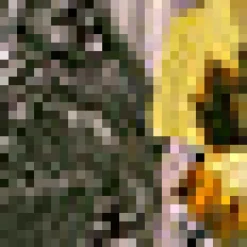 Postcards from Paradise Maxi Dress Obsidian Tile New