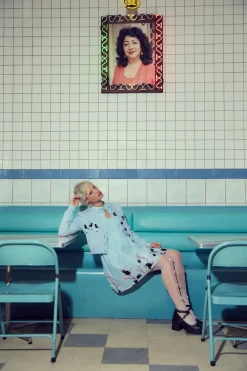 Pussy Willow Border Dress Online