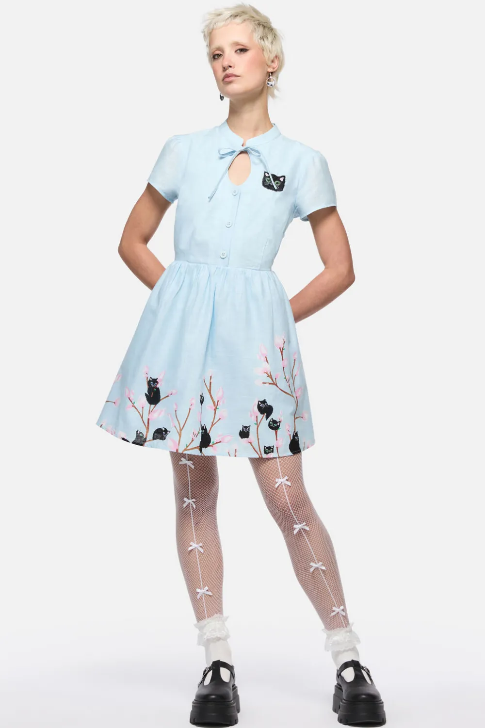 Pussy Willow Border Dress Online