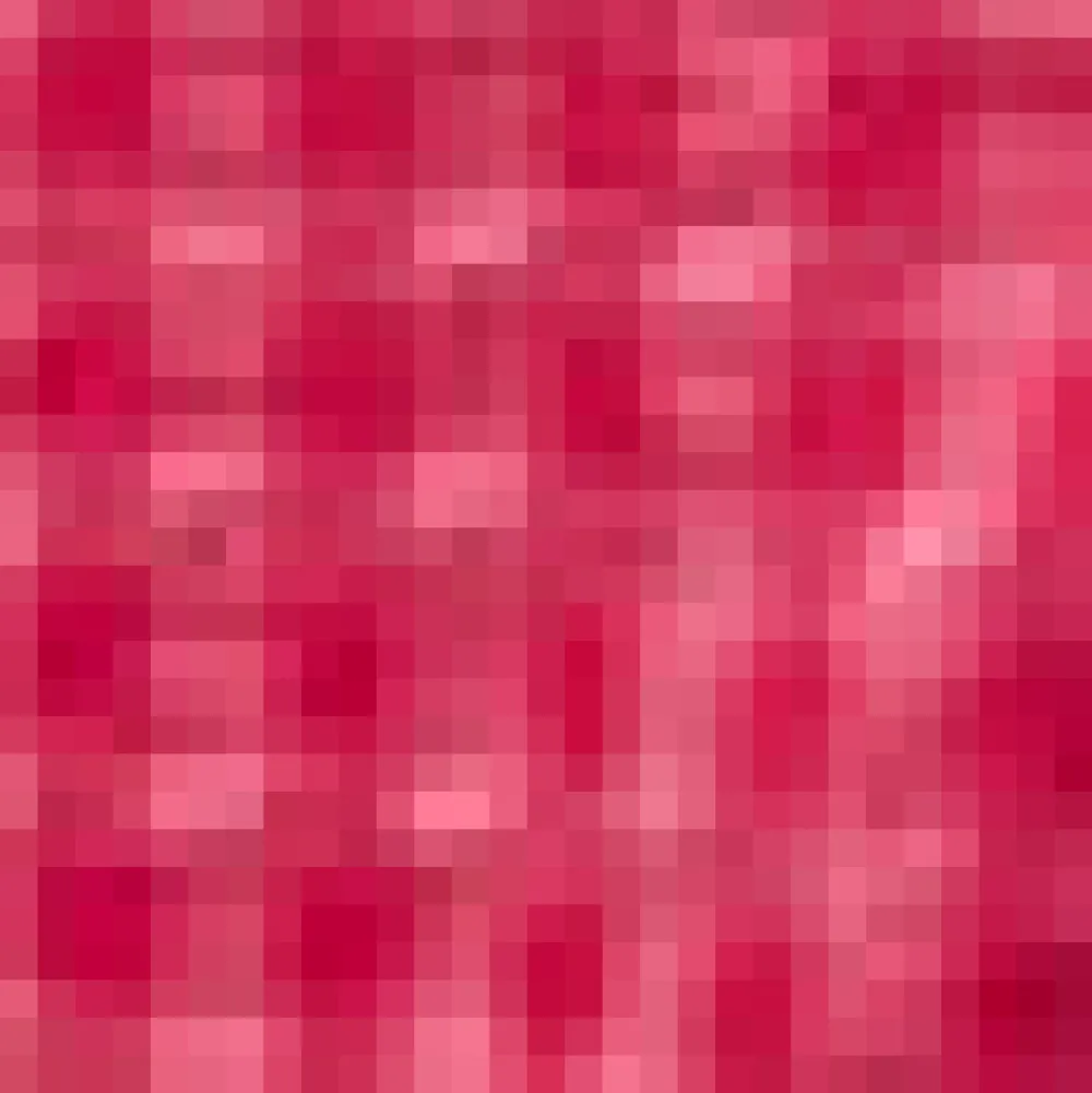 Raspberry Ruffle Blouse Magenta Online