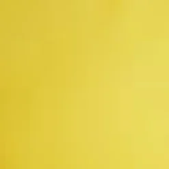 Ready for a Roman Holiday Top Sunny Clearance