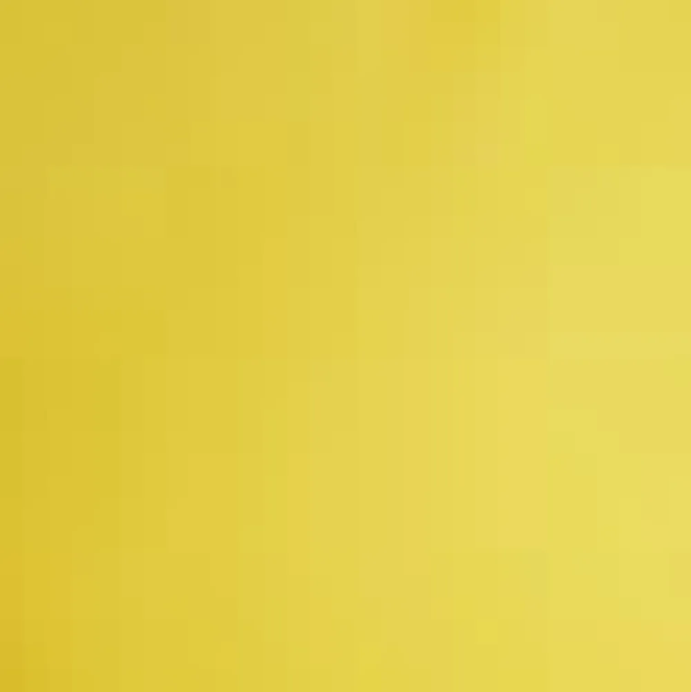 Ready for a Roman Holiday Top Sunny Clearance