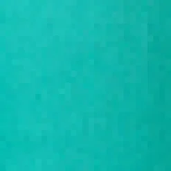 Renee Flare Jean Hot