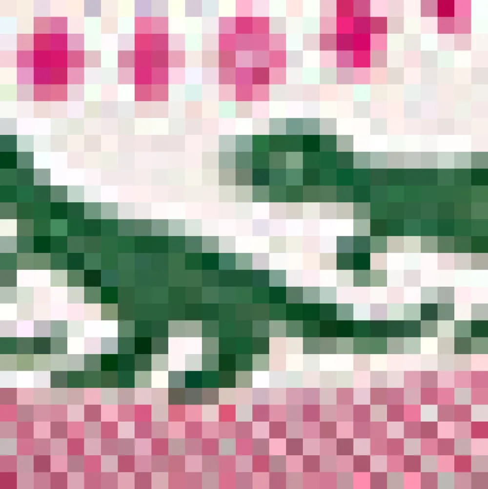 BTC Retro Charm Raglan Sweater Rosy Rendezvous Best