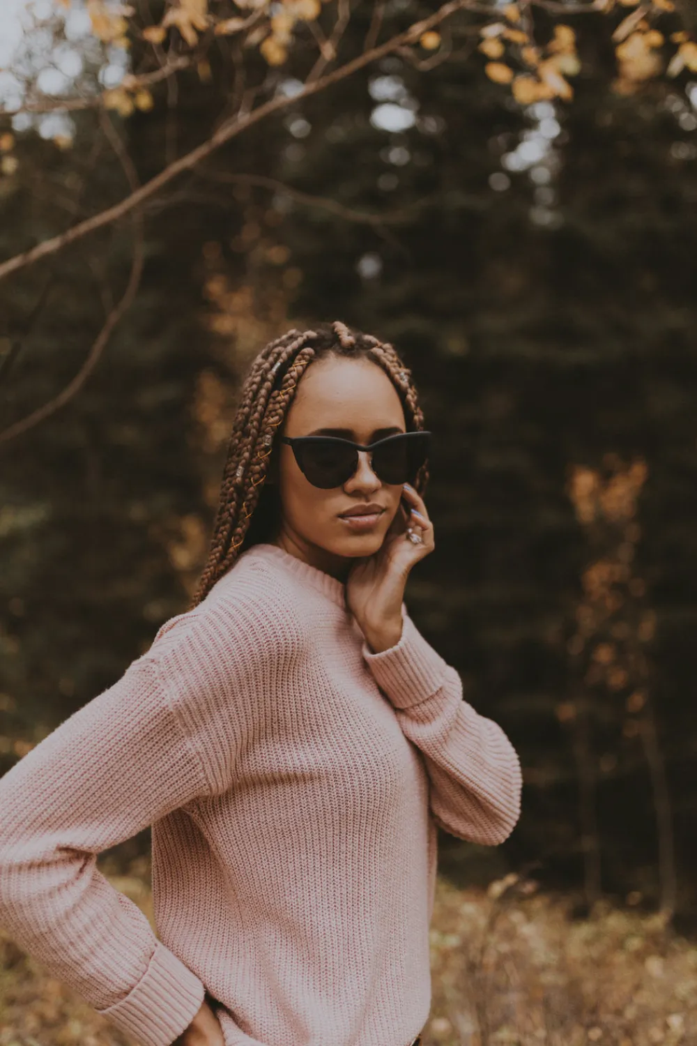 ROYAL VOYAGER Online