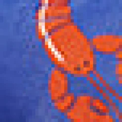 BTC Sandy Cove Shirt Rock Lobster