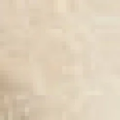 Sock Hop Sensation Long Sleeve Scoopneck top Moonlit Pearl