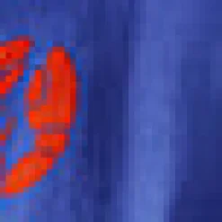 BTC Spotlight Stealer Romper Rock Lobster Discount